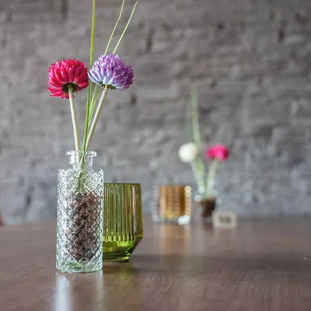 Amedia Boardinghouse Frankfurt Airport 4* Raunheim