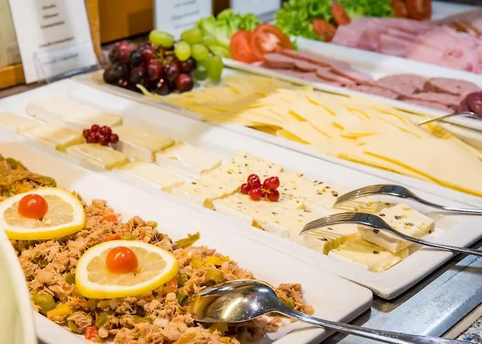 Amedia Boardinghouse Frankfurt Airport Raunheim